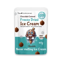 Froozly Freeze Dried Ice Cream- Chocolate Ice 45g